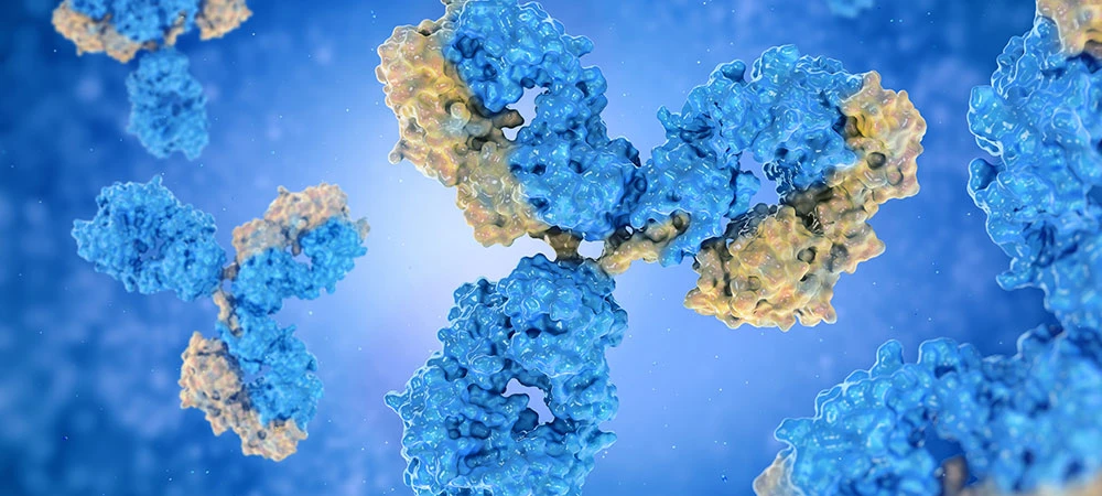 Antibodies