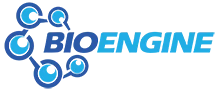 BioEngine Sci-Tech Co., Ltd.