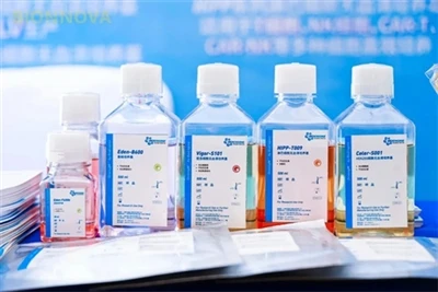 BioEngine's Comprehensive Solution For Serum-free Culture Media in The CGT Fi...