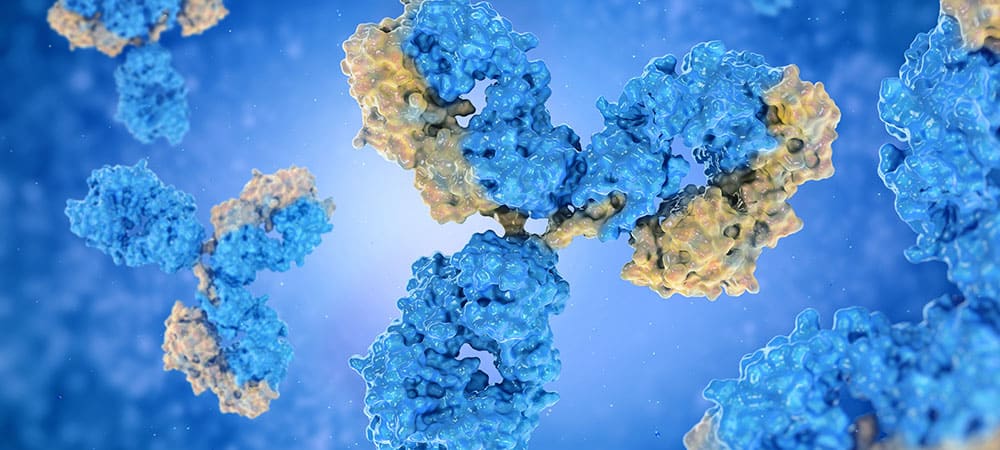 Antibodies