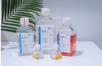 BioEngine Shines At BIOCHINA 2025: Leading Biopharmaceutical Innovation With ...