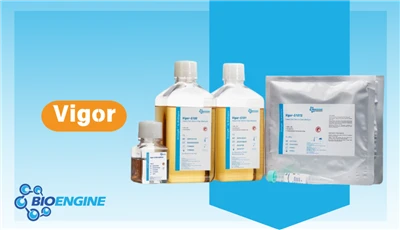 Vigor Series Insect Cell Serum-free Medium, Recombinant Protein Vaccine Produ...