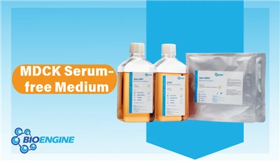 BioEngine's MDCK Cell Serum-free Medium Facilitates Efficient Vaccine Production