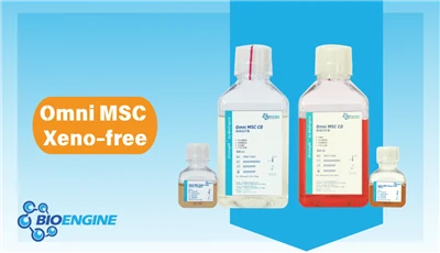 New Product Express: Omni MSC Xeno-free Culture Kit Empowers MSC Research And...