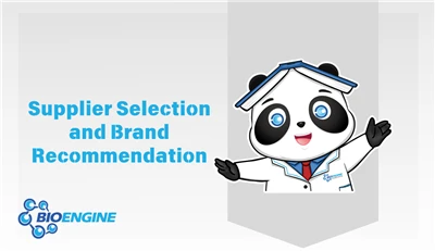 Cell Culture Medium Brand Recommendations