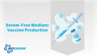As Norovirus Runs Rampant, How Does Serum-Free Medium Become A Secret Weapon ...