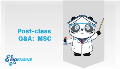Q&A Session After Class | Strategies And Technical Challenges For Efficient M...