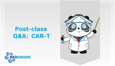 Q&A Session After Class | Unlocking The Code For Cost Reduction And Efficienc...