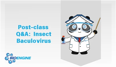 Q&A Session: Development And Application Of Insect Baculovirus System in Gene...