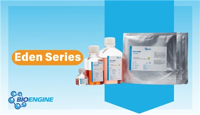 Product Introduction: Eden Series CHO Cell CD Medium