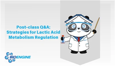 Q&A | Solutions To Questions On Lactate Metabolism Regulation Strategies in C...