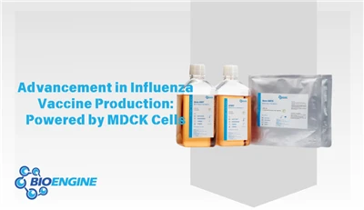 The Evolution Of Influenza Vaccine Production: MDCK Cell-Driven, Breaking The...