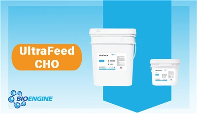 BioEngine Launches UltraFeed CHO Supplement, Boosting Titers By Up To 48%