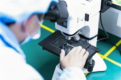 Good News | BioEngine Sci-Tech Co, Ltd’s Vigor-S101S Serum-Free Medium For In...