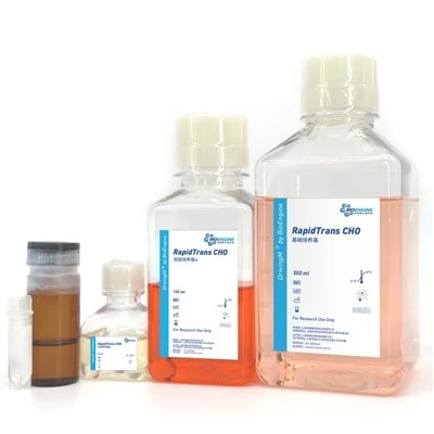RapidTrans CHO Kit