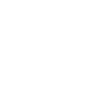 page-1-1 Vision