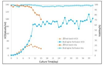 culture process