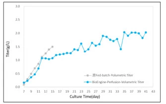 culture process