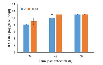 Avain influenza vaccine