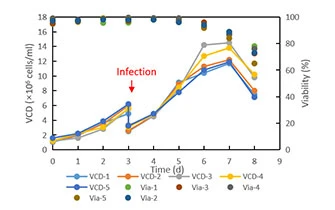 Avain adenovirus vaccine